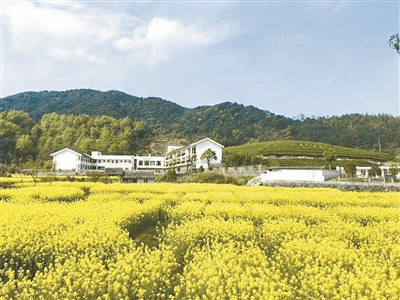 三农之声推荐：学习借鉴浙江村集体经济发展的十种模式