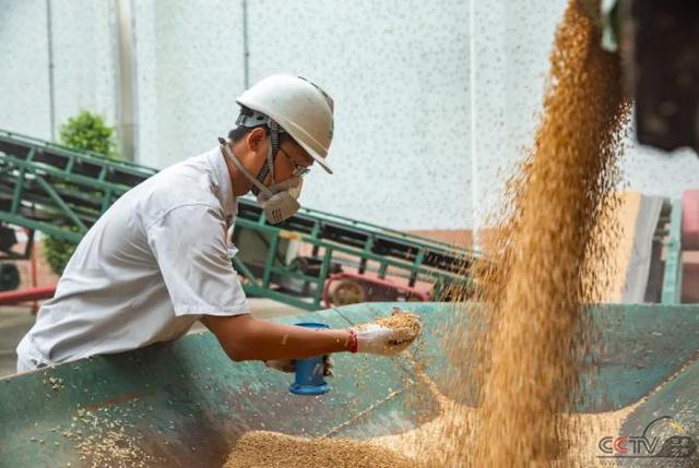 三个“平衡”：后疫情时代的大国粮食安全新战略