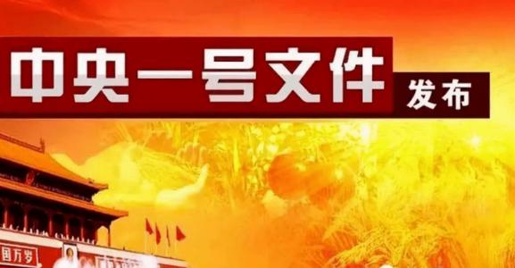 2021年中央一号文件：加大高价彩礼等不良风气治理