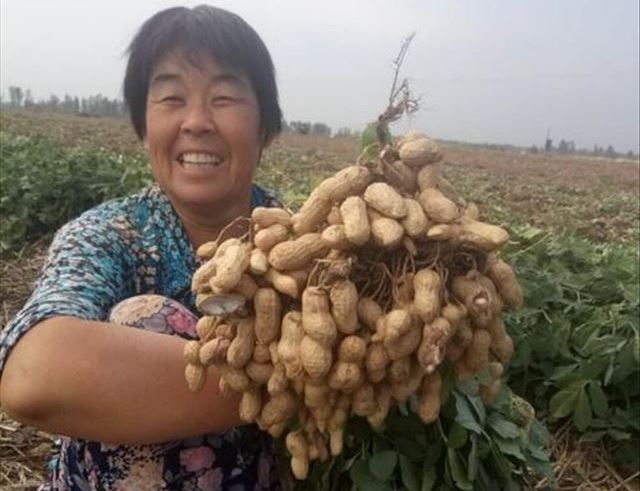 人民日报：让广大农民过上更加美好的生活