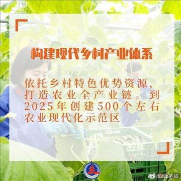 干货满满：2021年中央一号文件有哪些硬举措？