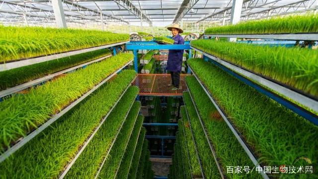 中国证券报:农业农村现代化建设将加速