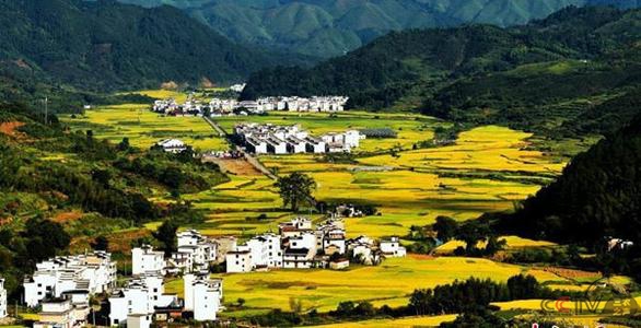 国家出台政策：鼓励地方对“土专家”“田秀才”“乡创客”发放补贴