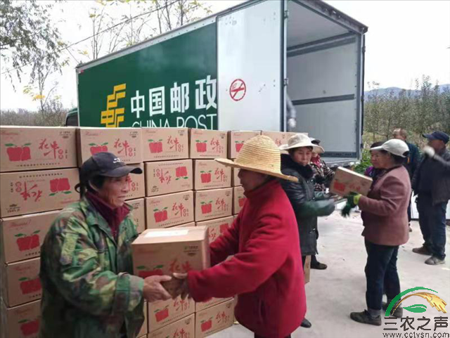 拼多多携手邮政助力合作社，开创电商乡村振兴新模式