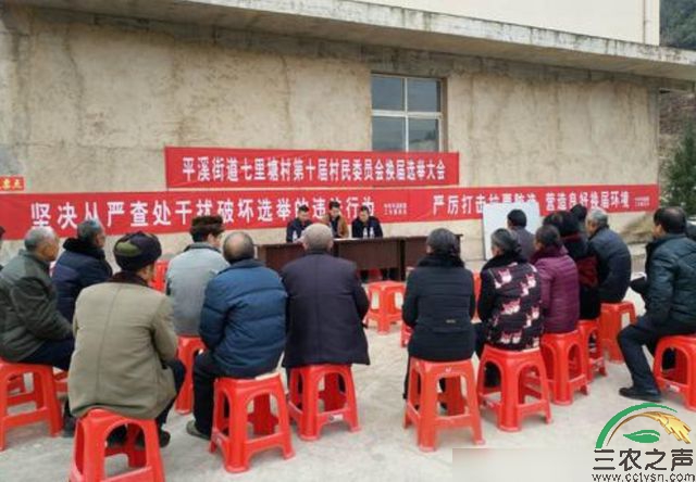 村干部选举设置学历限制，2类人将被剔除候选人行列