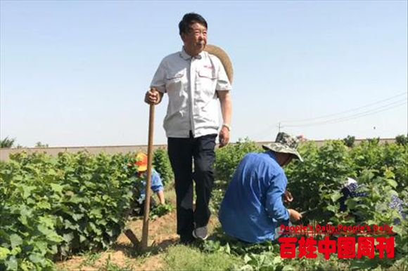 农业企业家魏本欣：一片“榛情”在山林