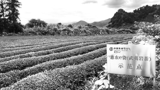 中国城乡金融报：深耕“三农”  锻造世界品牌