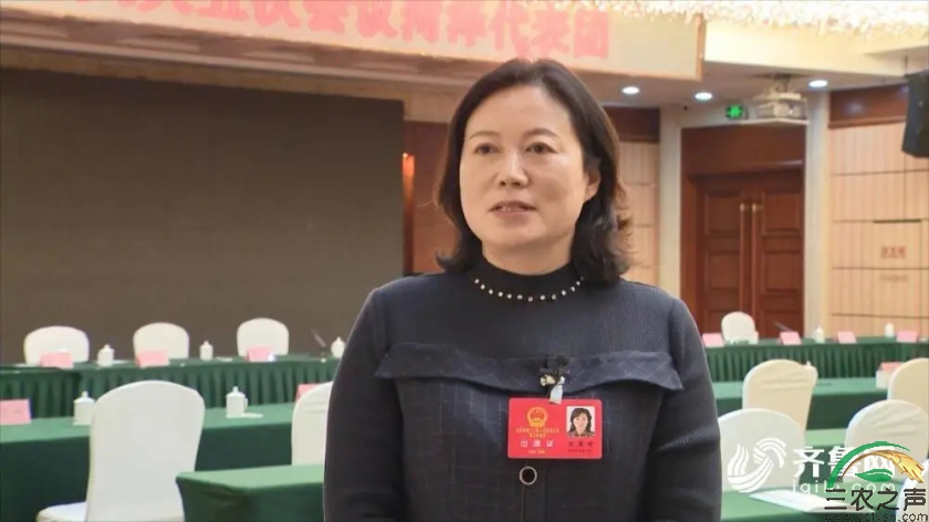 营造生态健康的农村消费市场环境 充分释放农村消费潜力