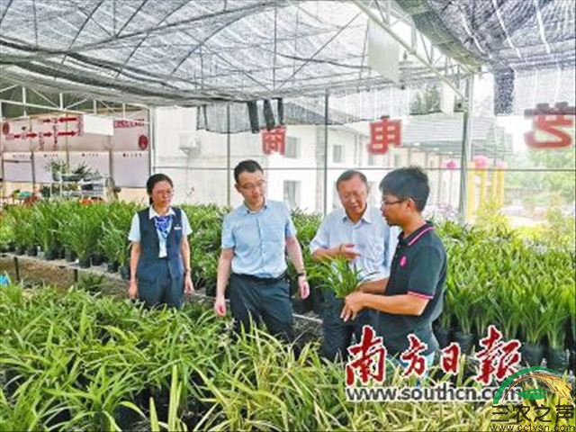 国有大行为何重返乡村市场？