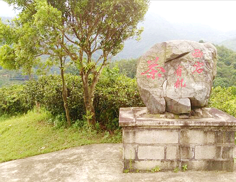广东省梅州市国家3A级以上旅游景区数量居全省第二