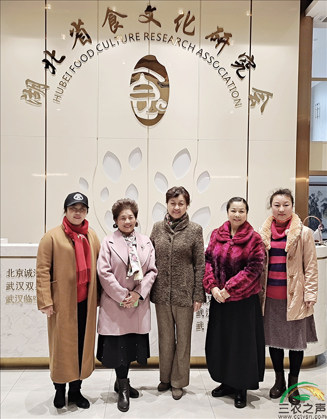 湖北武汉：五朵金花巧遇话未来