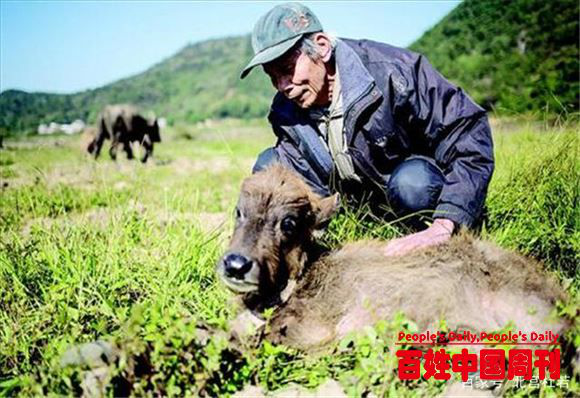 李连庆：守护毛主席15年只回家1次，退休后借300万回乡养牛