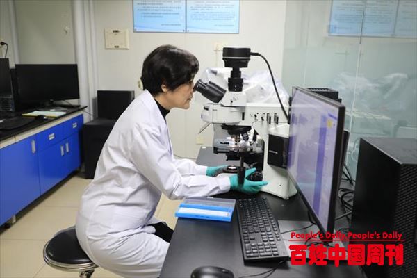 代表委员履职｜全国人大代表郭姣：讲好中医药故事