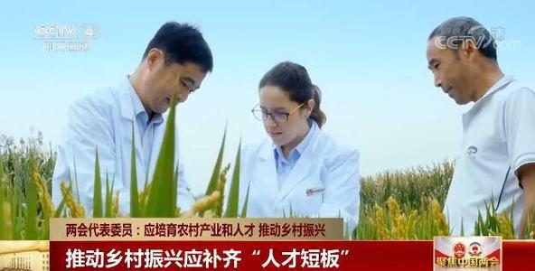 三农之声新视觉：经济日报-举全国之力推动乡村振兴