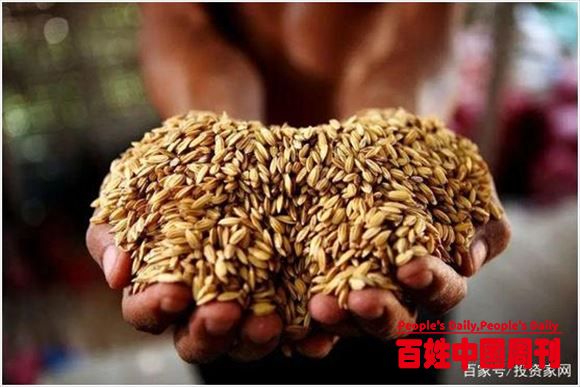 连饭碗都被“卡脖子”，中国人怎么打好种业翻身仗？