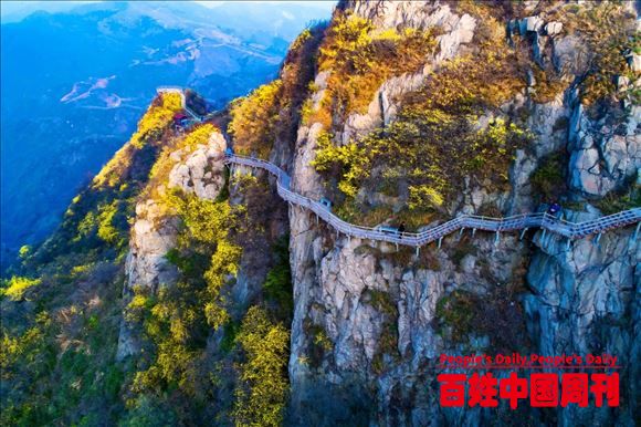 河南方城举行第五届连翘花节新闻发布会