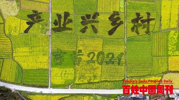 历史时刻的全国两会，带给我们这些重要信息