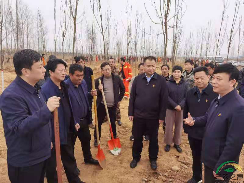 县级领导率先垂范，全民参与大员上阵，洛宁县扎实开展第43个植树节活动