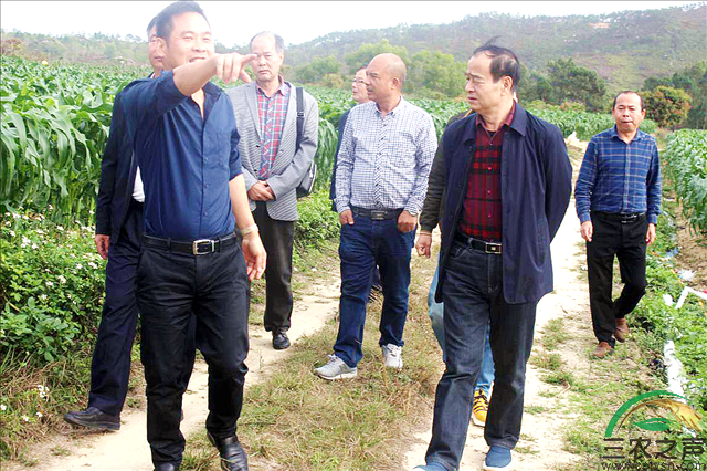 陆丰市关工委一行到志远农业调研