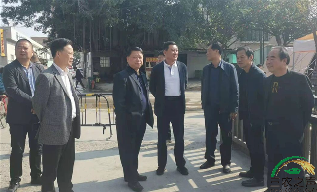 汕头市龙湖区委书记林定龙湖区领导到新海街道十一合艺术村调研乡村振兴工作