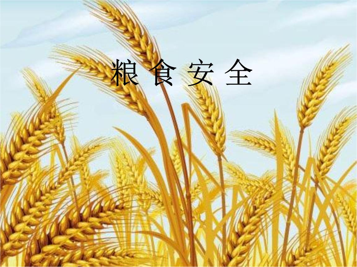 人民财评：牢牢把住粮食安全主动权