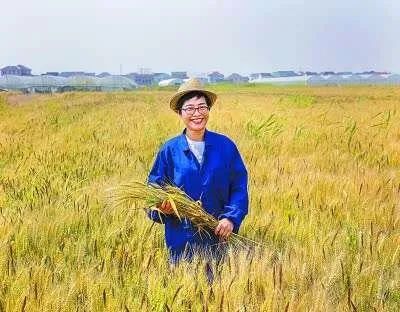 乡村振兴需要怎样的新农民？看看这些新型职业农民