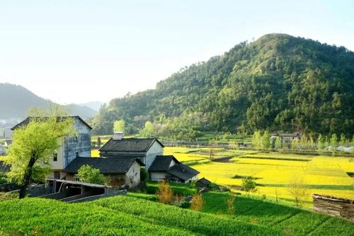 大地回暖 高科技助力春耕备耕