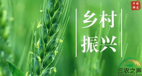 中国宏观经济研究院安淑新:接续推动脱贫摘帽地区乡村全面振兴