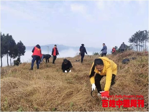 四川省巴中市巴州区枣林镇开展“学雷锋、庆三八” 志愿服务活动