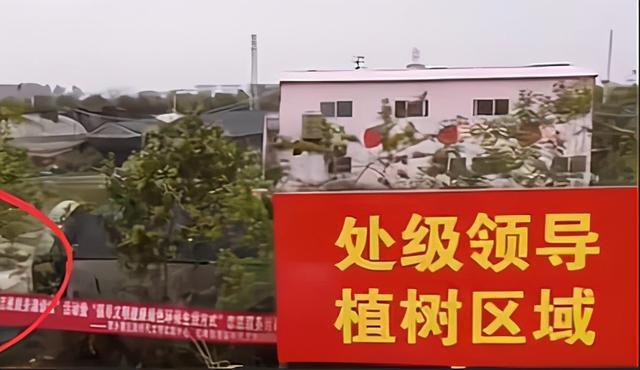 “处级领导植树区”让人五味杂陈