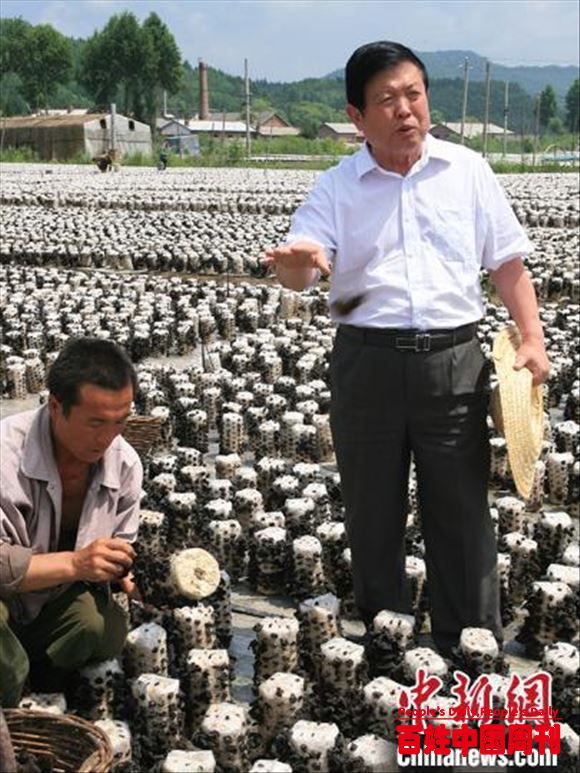“蘑菇院士”李玉：食用菌可成国家粮食安全“生力军”
