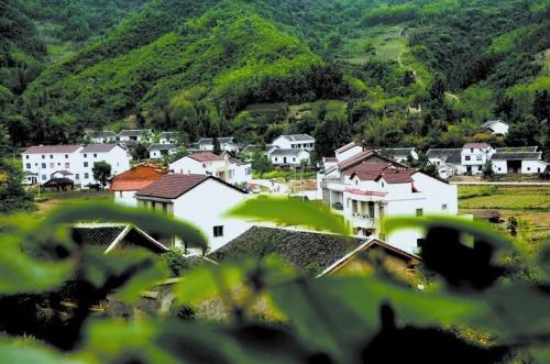 乡村振兴我建言：养殖户要想发展好，产业联合少不了