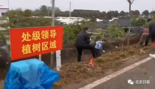 “处级干部植树区”散发出浓浓的官僚味