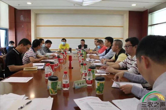 东莞市防汛防风大检查第八督导组到南城督导汛前防汛防风工作落实情况