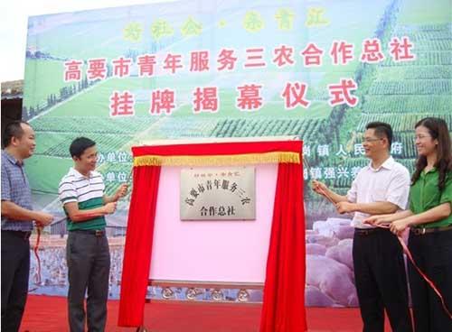 共青团中央：为农村青年合作社“做大蛋糕”鼓与呼
