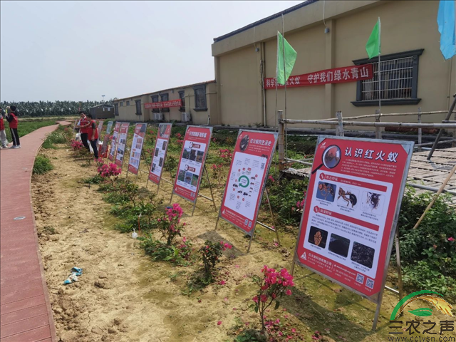 广州市农业农村局等部门部署开展春季红火蚁统一防控行动