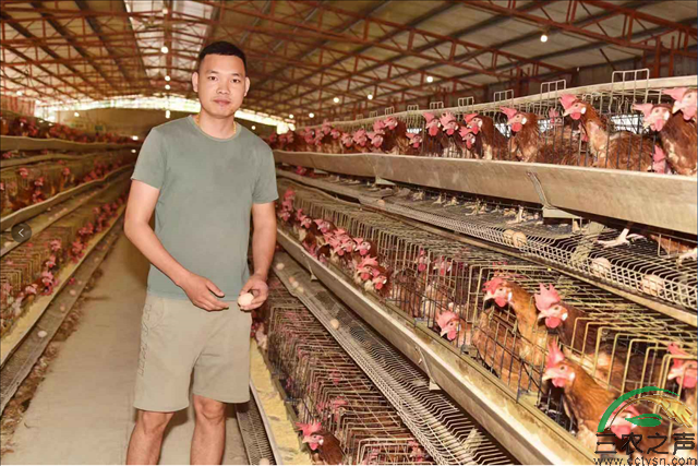 广东普宁李贵鑫：蛋鸡养殖开启致富路