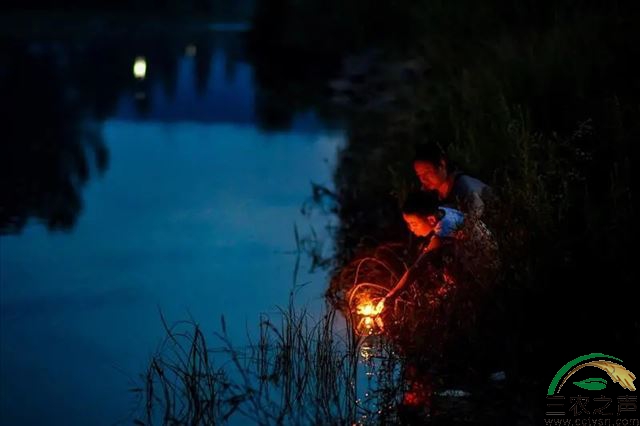 中国农民是中国大地上真实活着的伟大的人，比如这位母亲