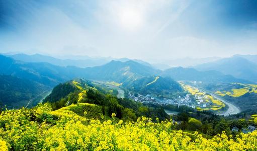 推动实施乡村振兴战略 碧桂园探索帮扶新路径
