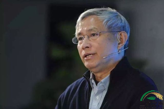 周其仁谈乡村振兴内生动力：三大潜力需求亟需得到满足