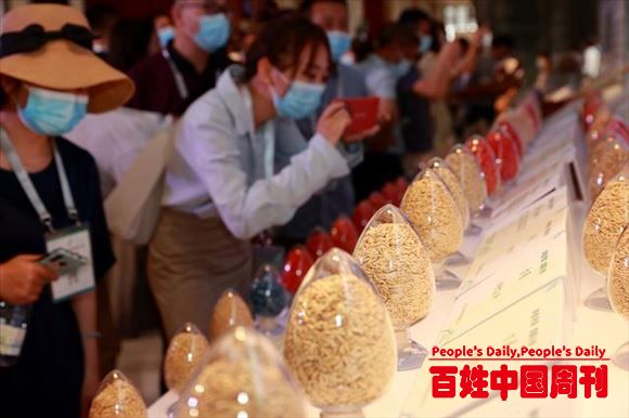 种业创新怎么搞？统筹兼顾常规育种与生物育种