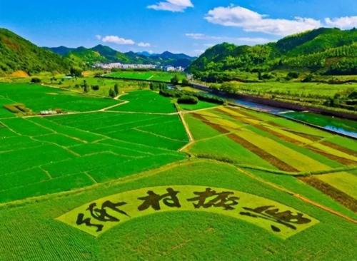 “十四五”开局 我国迎乡村振兴顶层方案