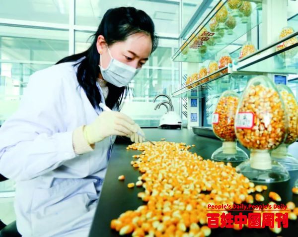 保障粮食安全从种子入手，攻关“卡脖子”技术