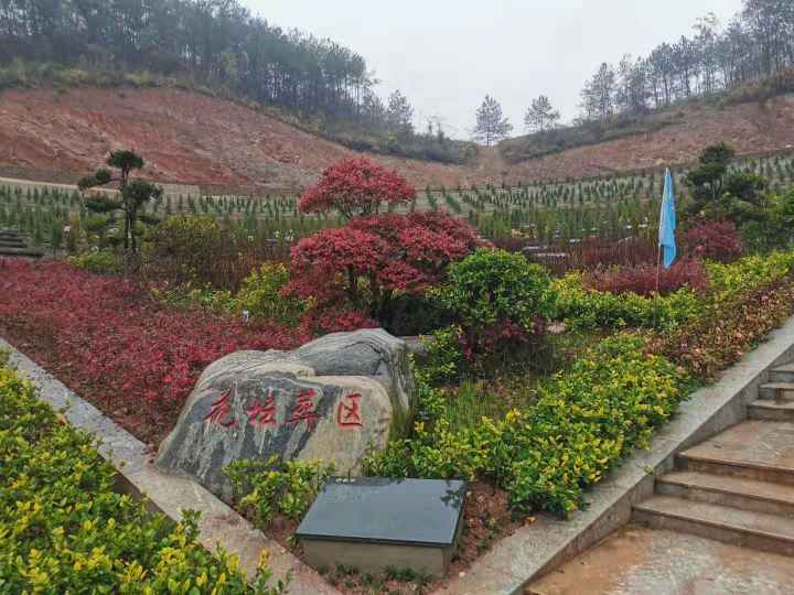 殡葬新风，浙江省建德市首例“花葬”落土