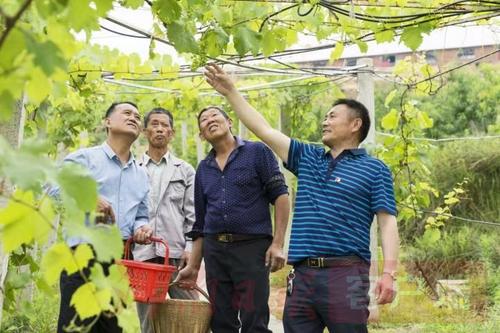 武汉大学社会学院教授桂华：“乡贤”返乡 顺势而为