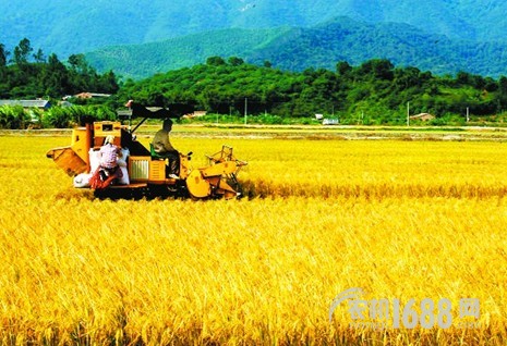 农业农村部：3年完成农业种质资源普查 打好种业翻身仗