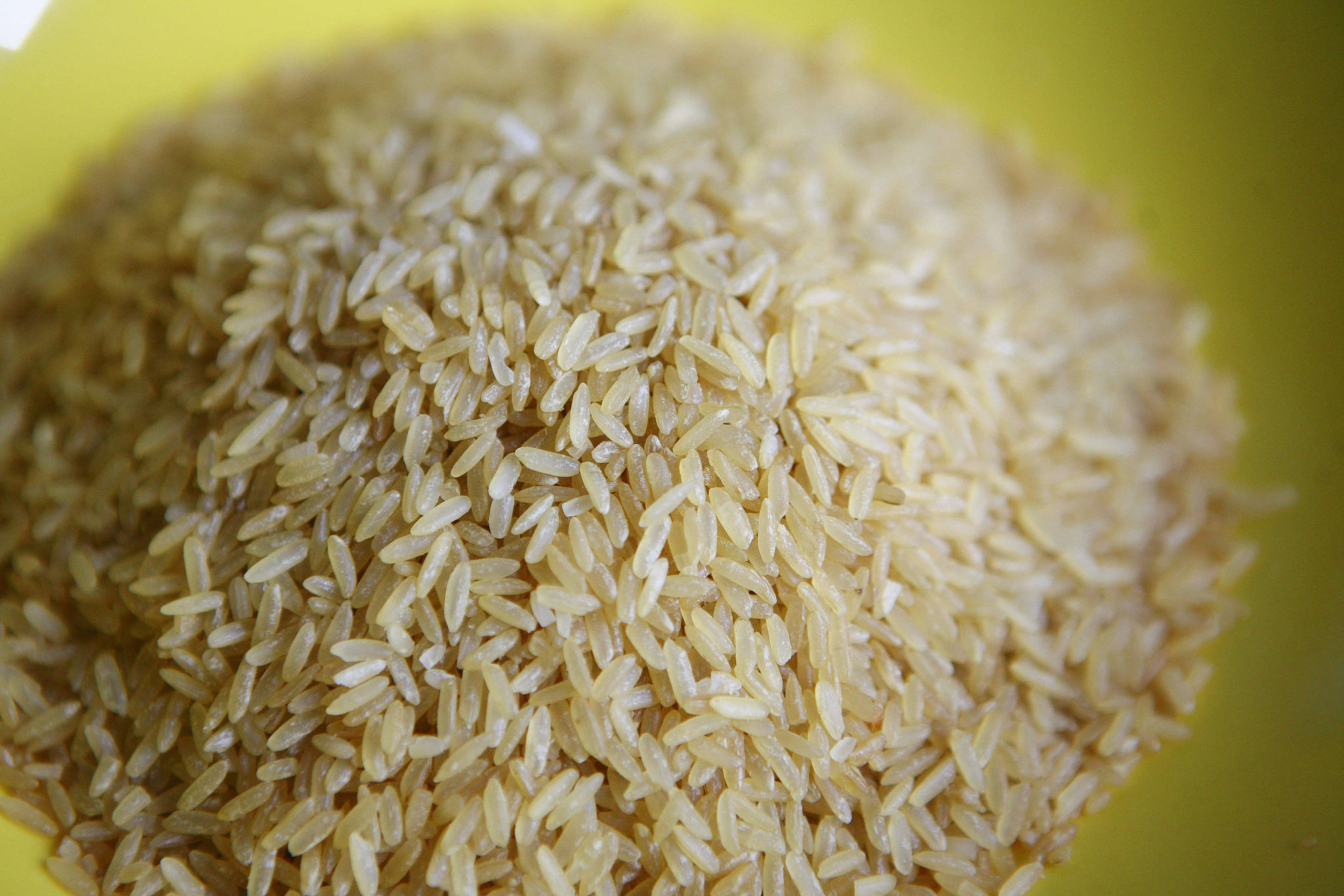 国际多种粮食价格持续上涨 我国粮食安全是否受到影响？