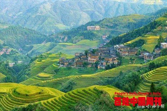 新时代，如何建设美丽乡村，打造花海建设，推进乡村振兴？