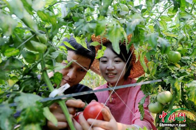 中国新闻周网：“90后”学霸夫妻的深山逐梦路