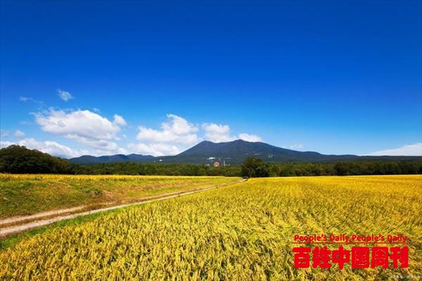 这次普查，将摸清全国农业种质资源家底